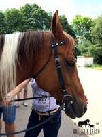 NEU  Westerntrense Westernzaum Western Trense BIOTHANE - NIE WIEDER SCHIMMEL!!