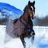 Horseware Turnout Rhino Wug lite Regendecke/ Weidedecke braun - alle Größen NEU