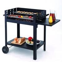 Tepro 1121 Chill&Grill Holzkohlengrill “LAMBADA”  B-Ware