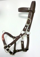 Sidepull - Kappzaum - Trainingszaum aus BIOTHANE - NEU - 