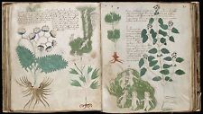 THE MYSTERIOUS VOYNICH MANUSCRIPT - CIPHER, CRYPTOGRAPHY, CODE BREAKING - ON DVD