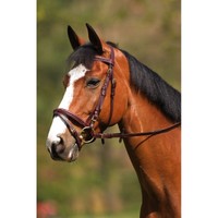 Trense Excelsior Trensenzaum mit Ziernaht, havanna, braun, schwarz, VB, WB, P