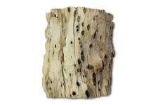 Teakbaum Rinde sdatec.com