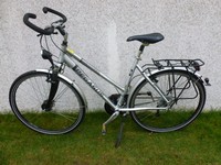 Pegasus Milano GT City-/Trekkingrad Fahrrad 28 Zoll 24 Gang Shimano Deore XT 