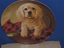 Knowles 1988 Field Puppies "Shirt Tales" Cocker Spaniel Plate