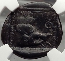 LYTTOS in CRETE 430BC Eagle Boar Authentic Ancinet Silver Greek Coin NGC i58235