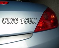 Autoaufkleber Wing Tsun  outlined - 8 versch. Farben - viele Größen