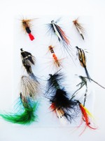 2316188 12. September Esche Moskau Streamer Dry Fly Fishing Forellenangeln Craft