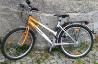 Fahrrad Mountainbike Fischer Jugendliche Damen Herren 21 Gänge 