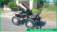 Pony Kutsche Fahrschulwagen Marathonwagen 16" Trainingswagen Wagonette Kutschen 