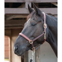 CATAGO Lederhalfter - braun - Vollblut Pferdehalfter Halfter für Pferde 