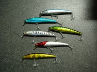 Lineaeffe Kunstköder Wobbler für Zander und Hecht 