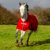 Bucas Freedom Turnout light Übergangs-/Regendecken Neu von Bucas TOP!