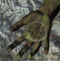 SIMPLE MINDS : THIS IS YOUR LAND / 3 INCH CD SINGLE (VIRGIN RECORDS 1989)