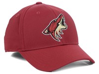 Arizona Coyotes NHL Hockey  New Era 9forty Kappe / Cap NEU Eishockey Klett