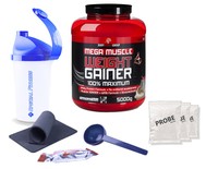 6,78€/kg  Bodyworldgroup Mega Muscle Weight Gainer 5kg Dose + Bonus