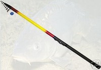 AQUILION BOLOGNESERUTE STIPPRUTE RUTE  800 cm  NEU  