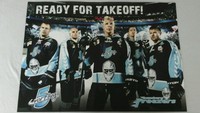 Hamburg freezers Poster Neu!!!