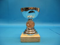 Einzelpokal jetzt nur 4,95 Euro  inkl. Gravur und Emblem silberfarben Trophäe 
