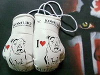 Mini Boxhandschuhe I love Bulldog
