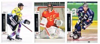 2 DEL Playercards 2012/13 zum aussuchen