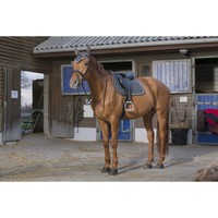 EQUI-THÈME „Bracelet“ Schabracke, VS, 3 Farben, NEU