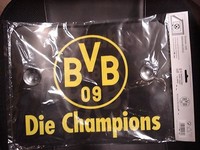 Sonnenblenden Borussia Dortmund Fussball Fanartikel