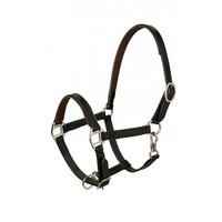 Shetty Pony Shetland Lederhalfter halfter Stallhalfter NEU Minihorseshop schwarz