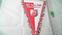 Wimpel Fußball Bundesliga SSV Jahn Regensburg Dreieck Logo