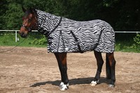 Fliegendecke Zebra Fliegenschutz Fliegen Decke 145 155 165 Halsteil Tysons 