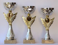 3er Serie Pokale  inkl.Gravuren und Embleme