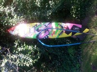 Surfboard Fanatic Ulta Bee