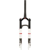 DT Swiss XRM 100 Weiß / Silber