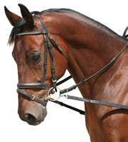 100628 PFIFF Ausbindezügel ohne Gummieinsatz Ausbinder NEU