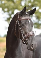 Kappzaum Busse FIT PRO in braun zum Longieren und Reiten mit Gebiss NEU