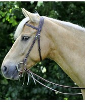 Wildhorn Kopfstück SPARKLE m. Zügel, Westerntrense Trense western, neu