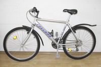 Fahrrad  MTB  26",  21-G, Toscano, Silbern, Herrenrad