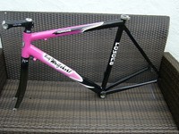 Rennrad Rahmenset Rolf Wolfshohl - ROWONA - Telekom Design - RH56 - gebraucht