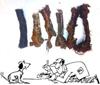 1kg Pferdekopfhaut mit Fell, wie Magen, Kopfhaut, Schweineohren , Rinderlunge