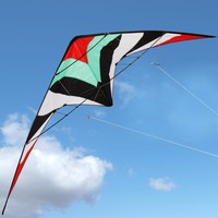Lenkdrachen Kite Flugdrachen Delta Sportlenkdrachen Sportdrachen XXL 260 x 95 cm