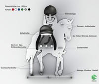 Sattelhalter Trensenhalter Helmhalter Deckenhalter Dressur Sattelschrank Stahl