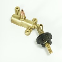 Moreno Miro Radicy Via Tizia SAECO Family Ventil f. Heisswasser + Dampf komplett