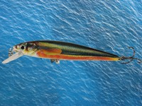 Wobbler Jerkbait Lure Pilker Raubfischköder Minnow Hecht 100mm Neu !