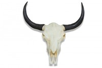 Geweih Schädel DUNORD LONGHORN SKULL 69cm natur Design Wanddeko Wacken Style NEU