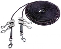 BUSSE Doppellonge UMLENKROLLEN longieren Longe Longiergurt 18 m teilbar NEU