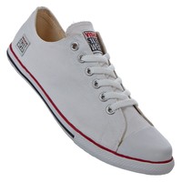 Vision Street Wear Schuhe Canvas Classic Low Herren Schuhe Skating Gr. 43 neu