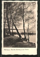 tolle AK Bad Saarow, Blick vom Cecilienpark auf Pieskow 