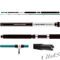 DAIWA CORMORAN SEACOR BLUE DEEP MEGA FIGHTER BOOTS RUTE 300-900G 2,25M