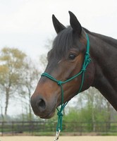 KNOTENHALFTER Spezialhalfter BODENARBEIT mit Knoten an speziellen Druckpunkten