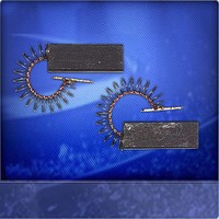 2 Kohlebürsten Motorkohlen für Bosch WFH, WFI, WFK, WFO, WFR, WOF, WOK, WOL, WOP